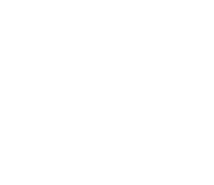 DG Termināls logotips